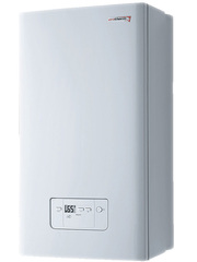 Газовый котел protherm 23mtv гепард