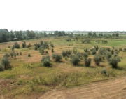 продам землю в Уральске 101 га рядом с рекой в самом городе