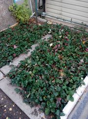 Продажа пятикомнатной квартиры,  83 м,  Аманжолова,  дом 90 за 67 000$.