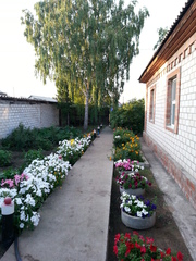 Продам дом с. Павлодарское