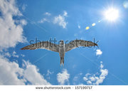 Натяжные потолки от Евроstandart