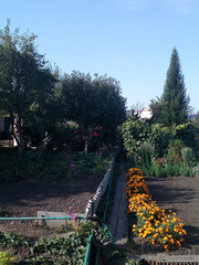 Предлагается к продаже дача