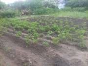 Дачный участок 9 соток