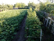 Продам дачу!