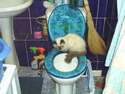 Вызов сантехника в алматы