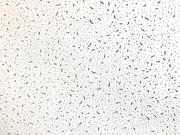 Подвесной потолок Байкал