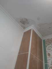 Удаление пятен на потолке 100% гарантия